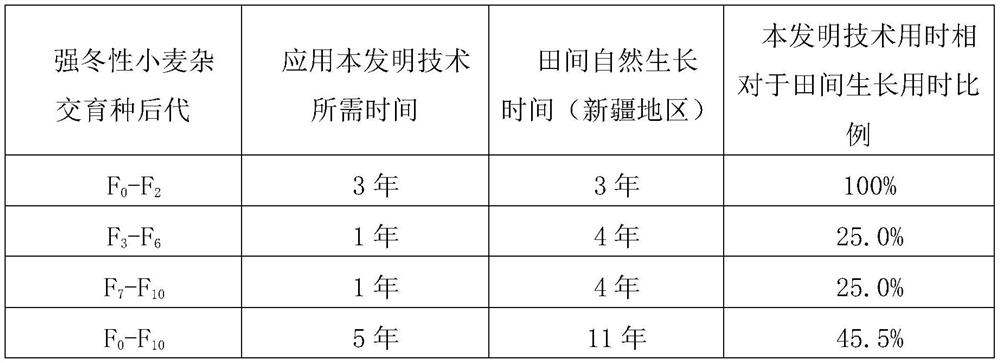 Method for accelerating crossbreeding process of strong winter wheat in four generations in one year in embryo culture technology