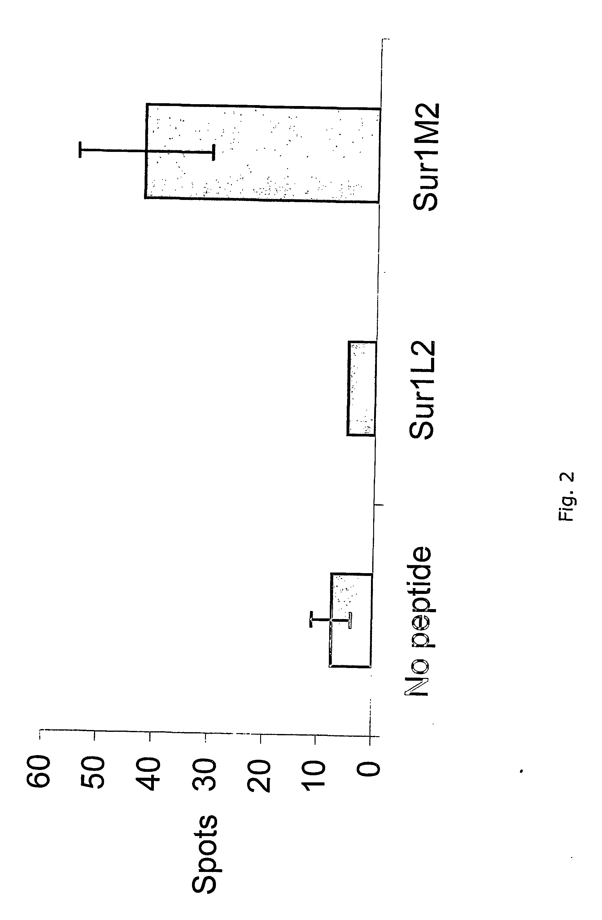 Survivin-derived peptides and use thereof
