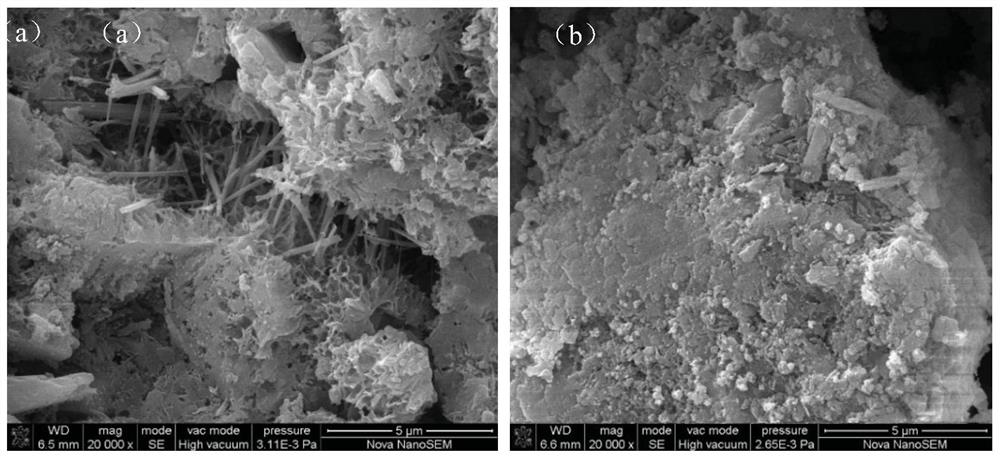 A kind of preparation method of low-rank coal-based superplasticizer