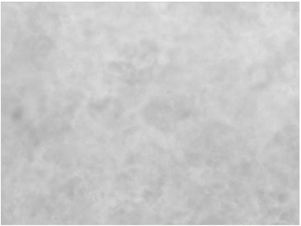 DTPA modified material and preparation method for rapid-full-dissociation type DGT (Diffusive gradients in thin films) coupling phase prepared therefrom