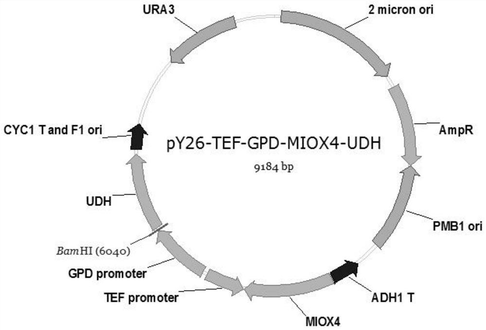 A method for improving the fermentative production of glucaric acid by Saccharomyces cerevisiae engineering strains