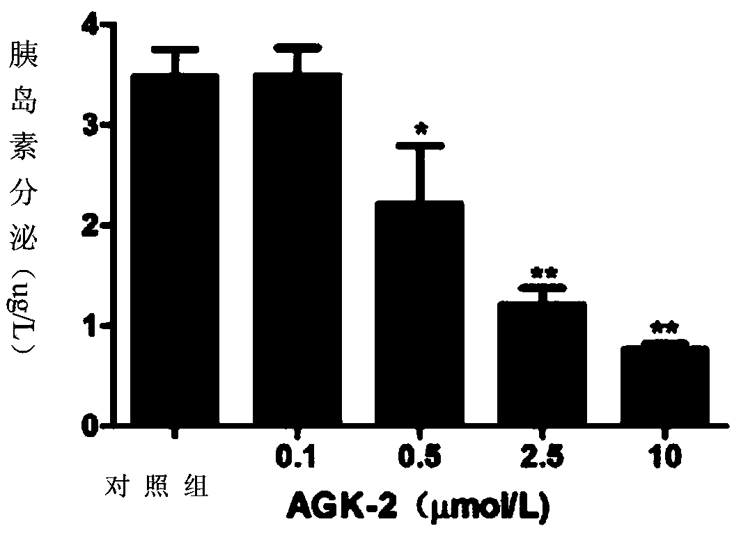 Application of SIRT2 inhibitor in pharmacy