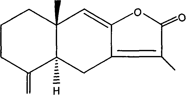 Method for separating effective constituent butenolide II from astraolylis lancea formalyrata volatile oil