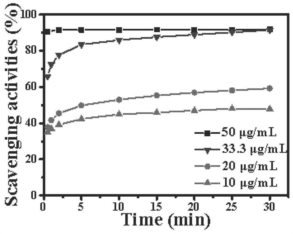 Polymeric natural polyphenol type sunscreen gel and preparation method thereof