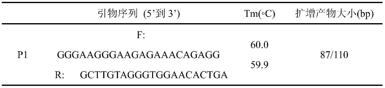 Primer pair, kit and method for detecting insertion / deletion polymorphism of sheep PRL gene and application of primer pair, kit and method