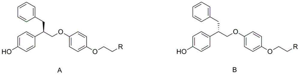 Novel substituted aminophenol compounds and preparation method and application thereof in field of medicine