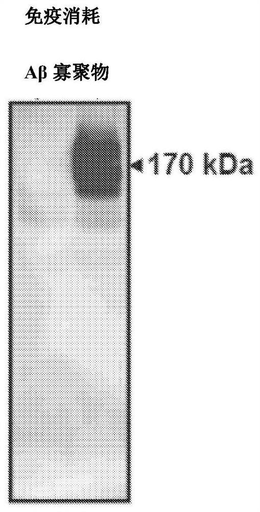 Detection of misfolded tau proteins