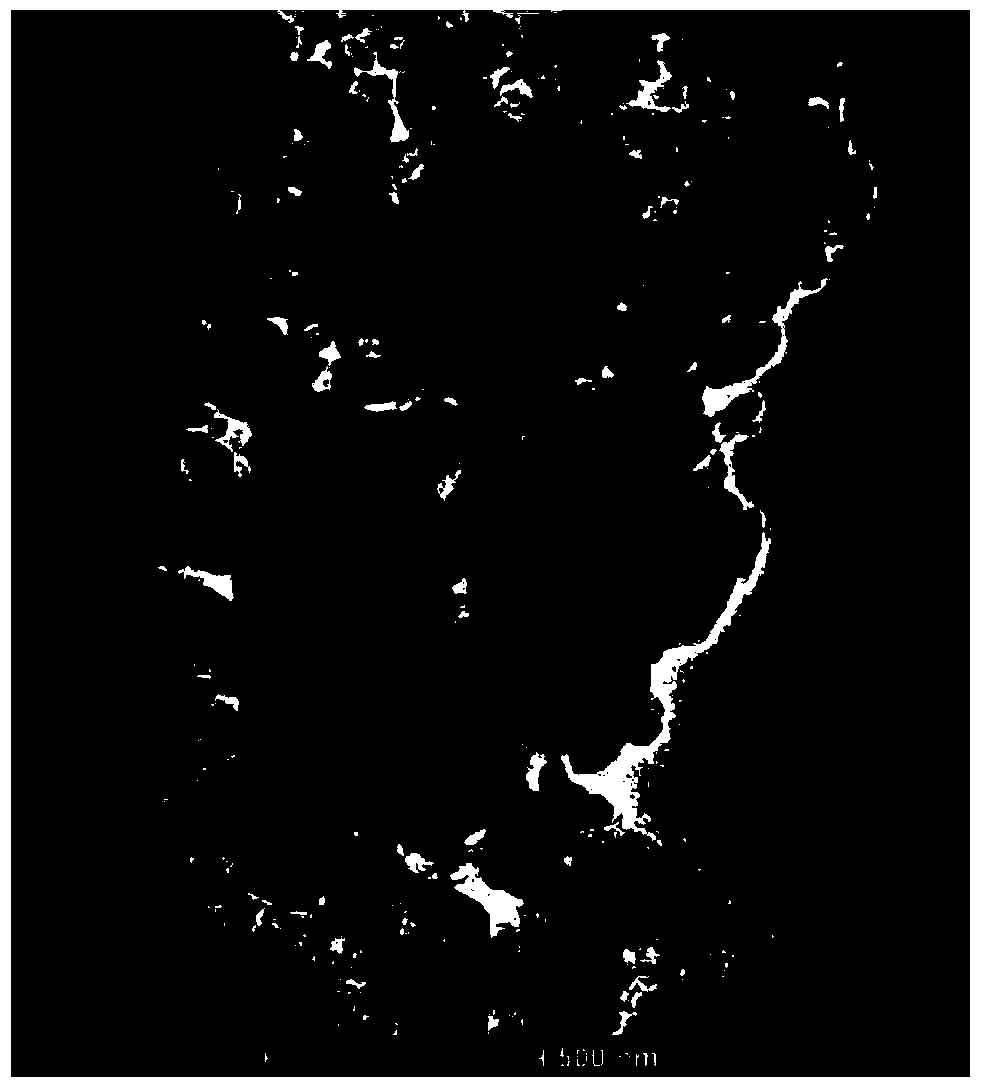 Poly(m-phenylenediamine) and synthesizing and applying method thereof