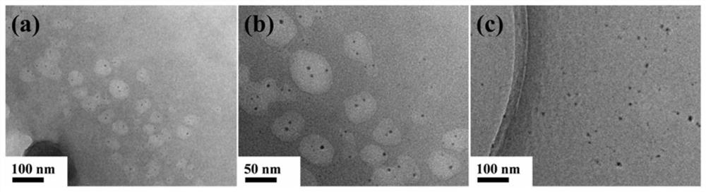 A preparation method of fluorescent solar collector based on carbon quantum dots