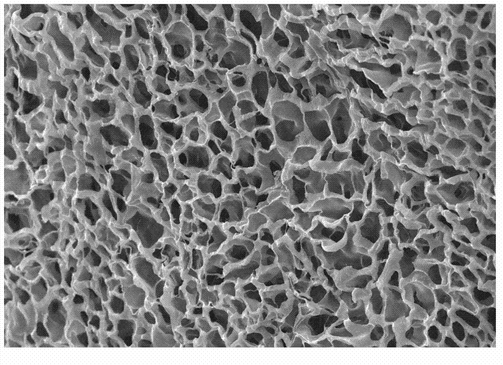 Functional chitosan scaffold with surface charge tunability as filtering medium