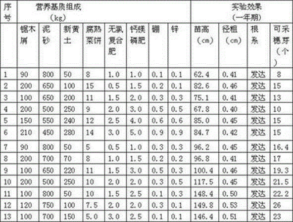 Tea seedlings breeding nutritional matrix and production method