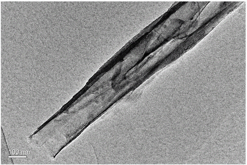 Carbon nitride nanotube and preparation method thereof