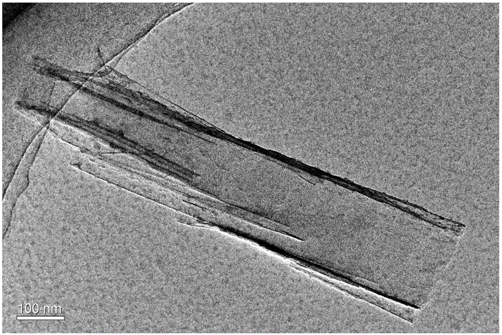 Carbon nitride nanotube and preparation method thereof