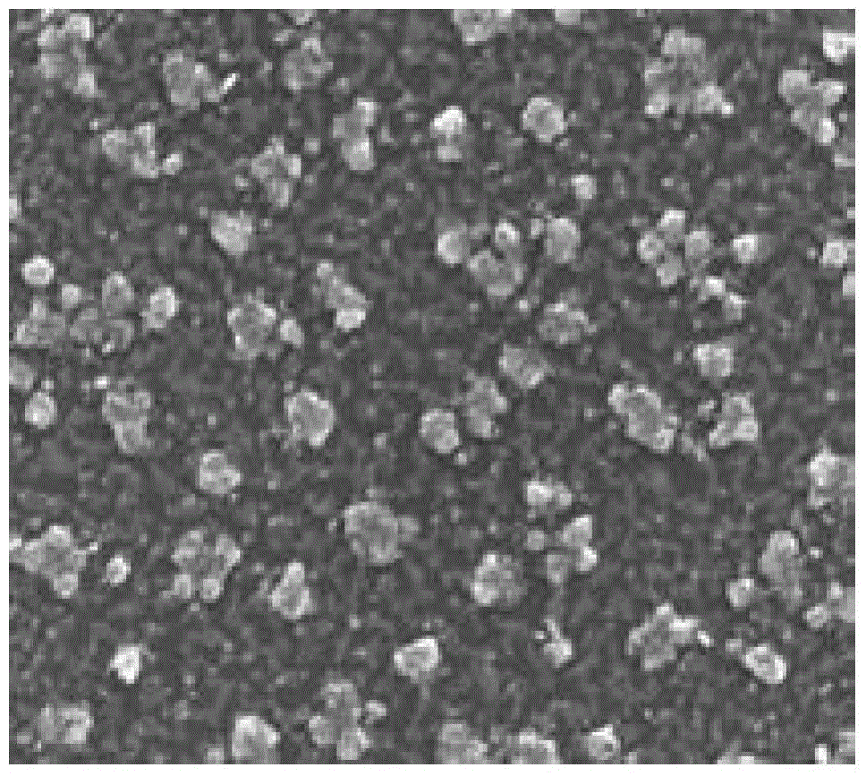 A kind of preparation method of metallic graphene