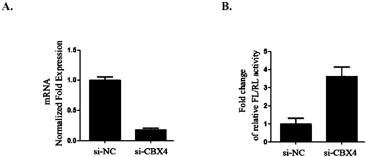 Application of CBX4 used as HIV-1 latent infection activation target