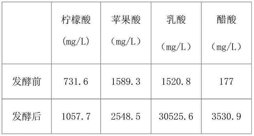 Asparagus fermented beverage and preparation method thereof