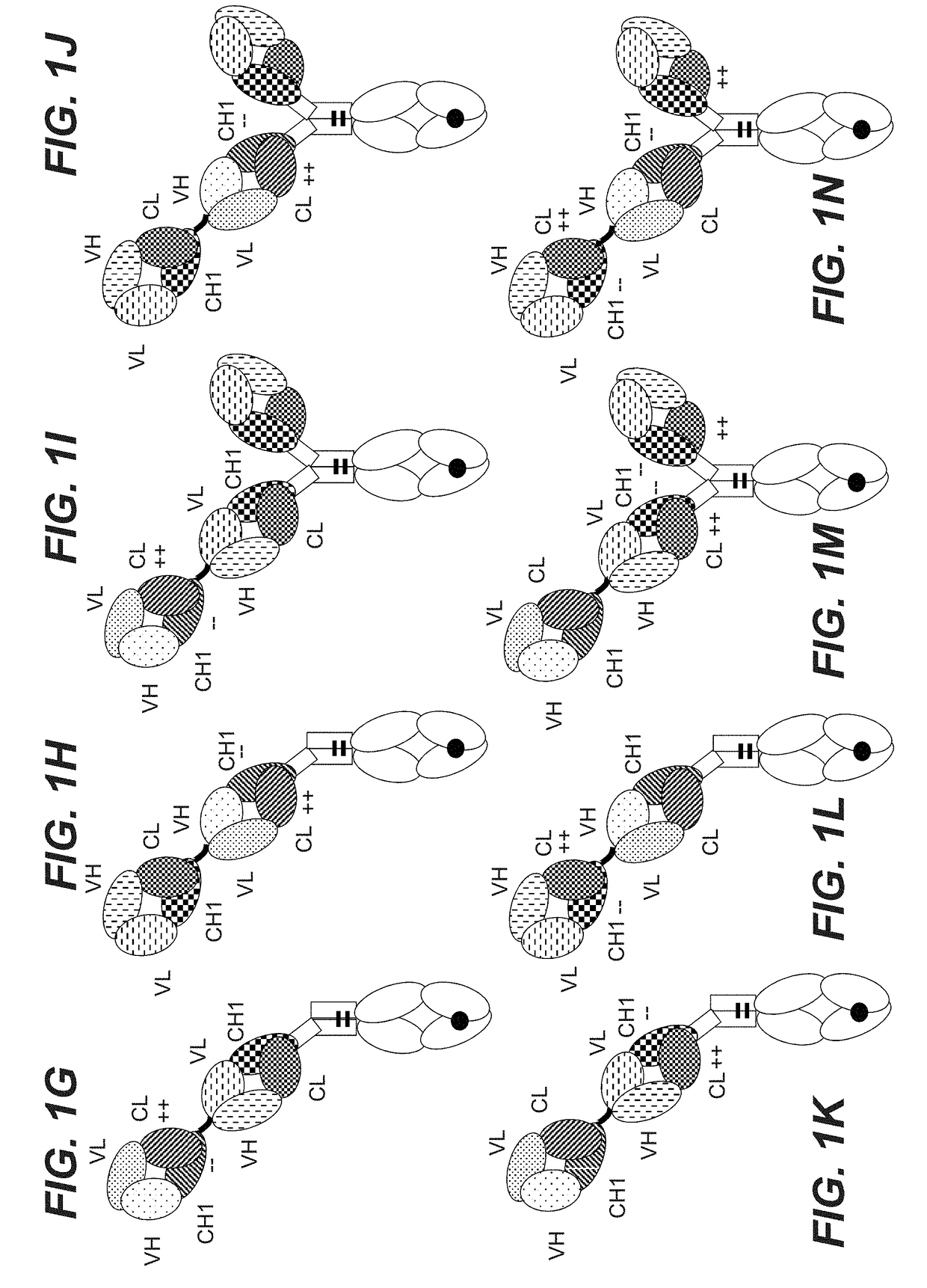 Bispecific t cell activating antigen binding molecules