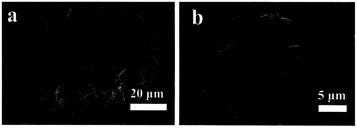 Cobalt sulfide/g-C3N4 composite electrode material with two-dimensional hollow nano sheet structure and preparation method thereof