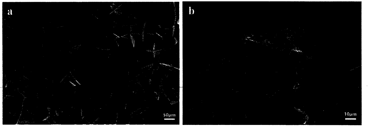 Cobalt sulfide/g-C3N4 composite electrode material with two-dimensional hollow nano sheet structure and preparation method thereof