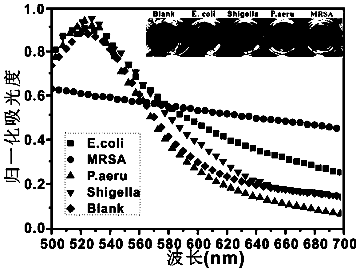 Drug-resistant bacterium detection method based on nucleic acid molecule machine colorimetry