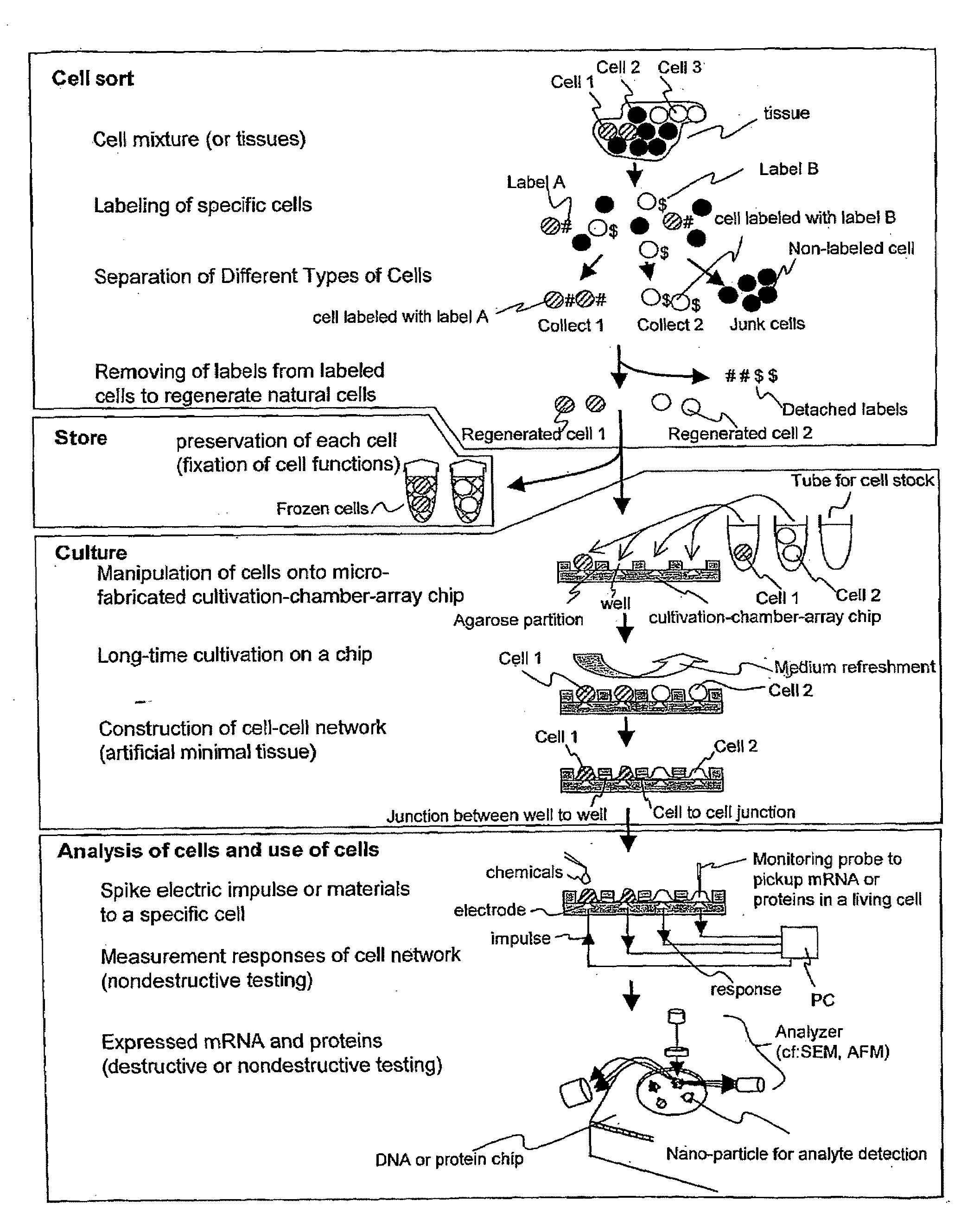 Cellomics system