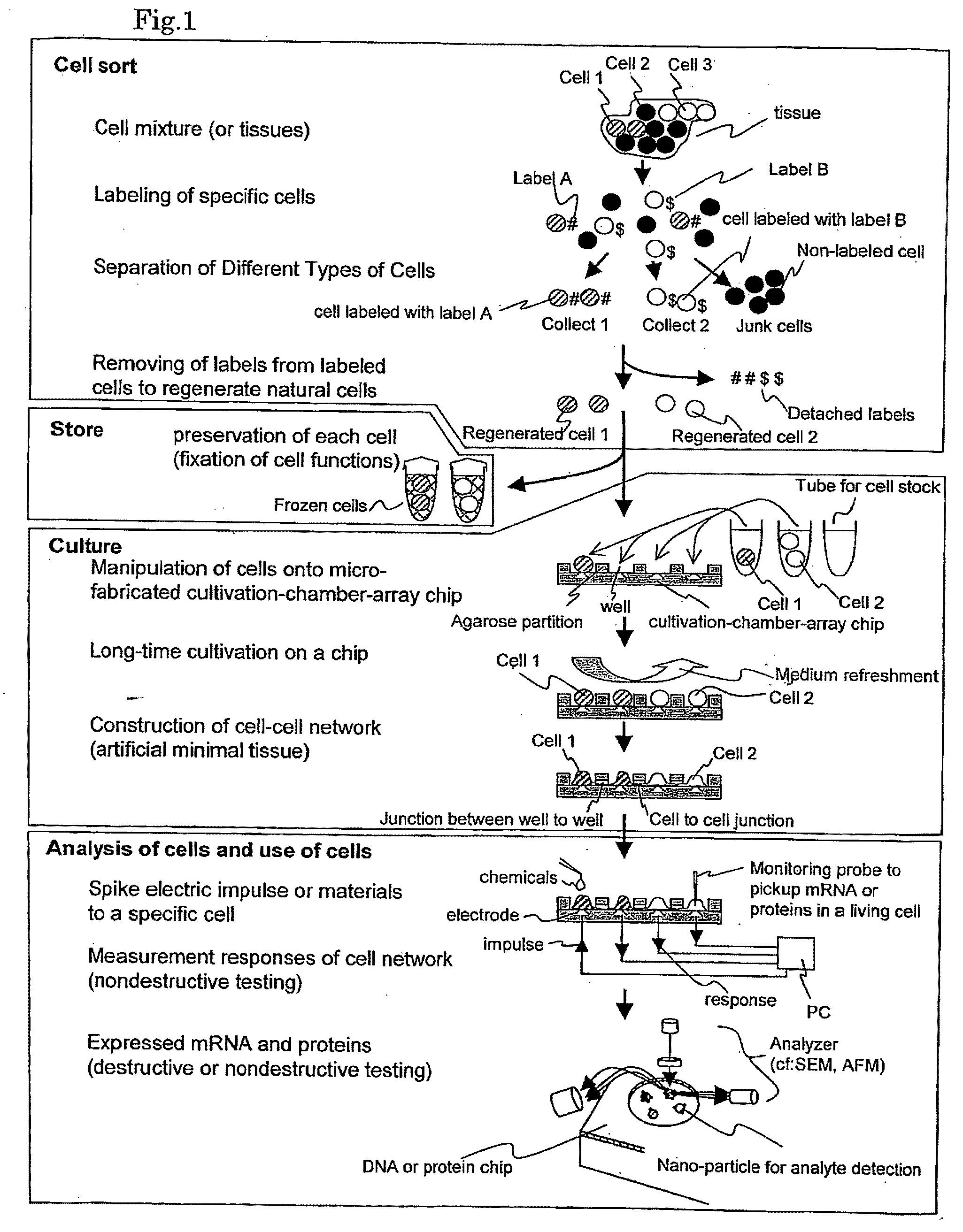 Cellomics system