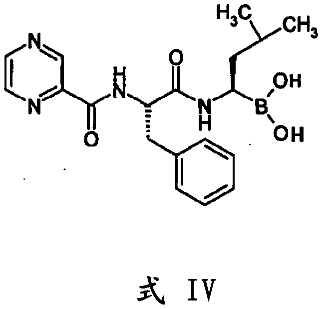 An improved process for the preparation of boronic acid esters