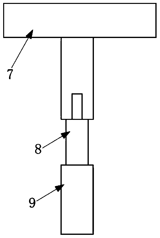 Live fish specimen shooting device and method