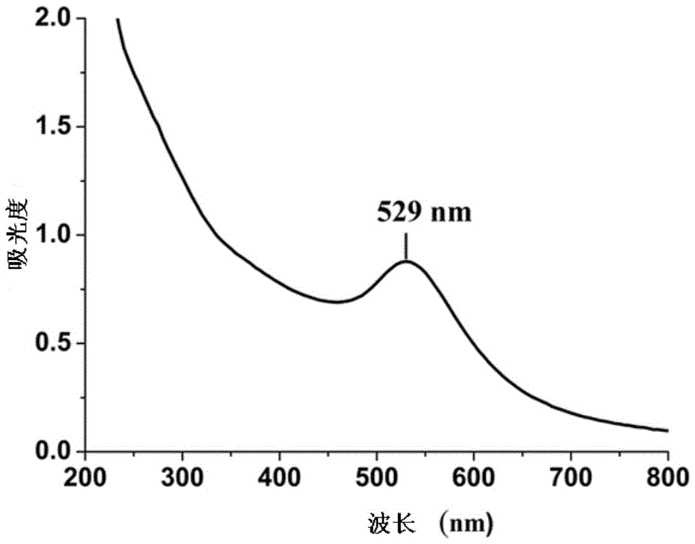 Nanogold gene carrier protected by liposome and preparation method thereof