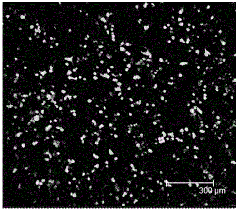 Nanogold gene carrier protected by liposome and preparation method thereof