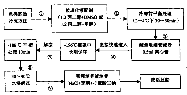 Method for freezing embryo of fish