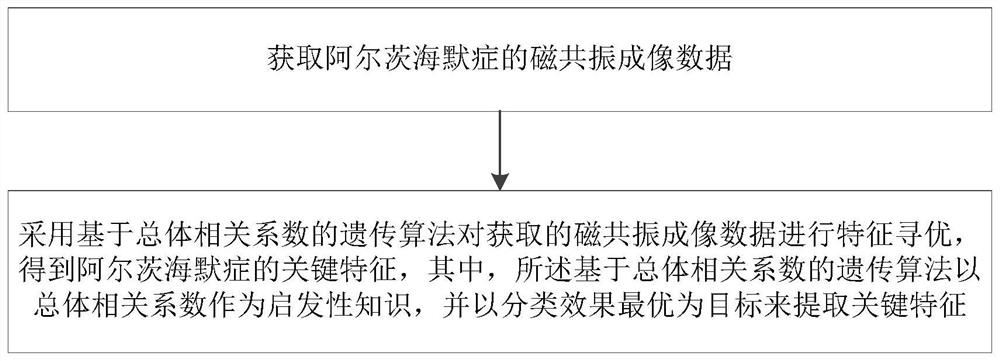 Alzheimer's disease feature extraction method and system based on overall correlation coefficient