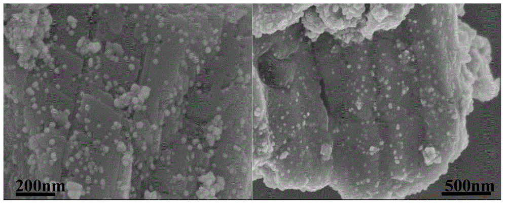 Biological composite material loading nano-silver particle