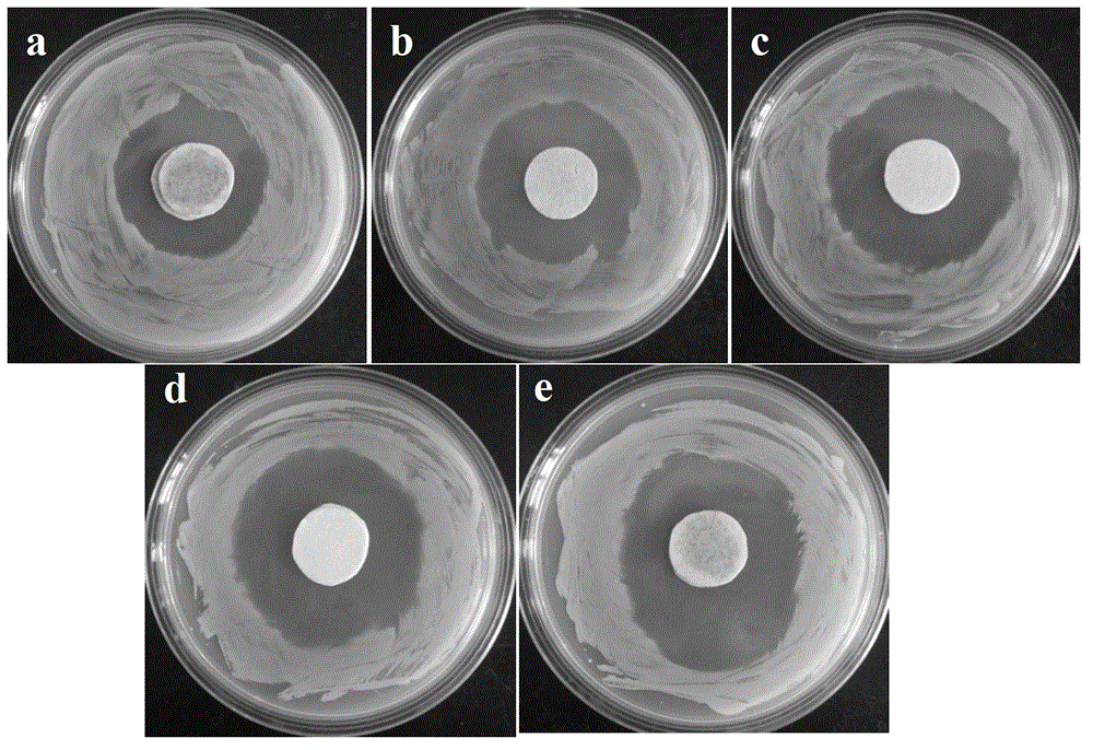 Biological composite material loading nano-silver particle