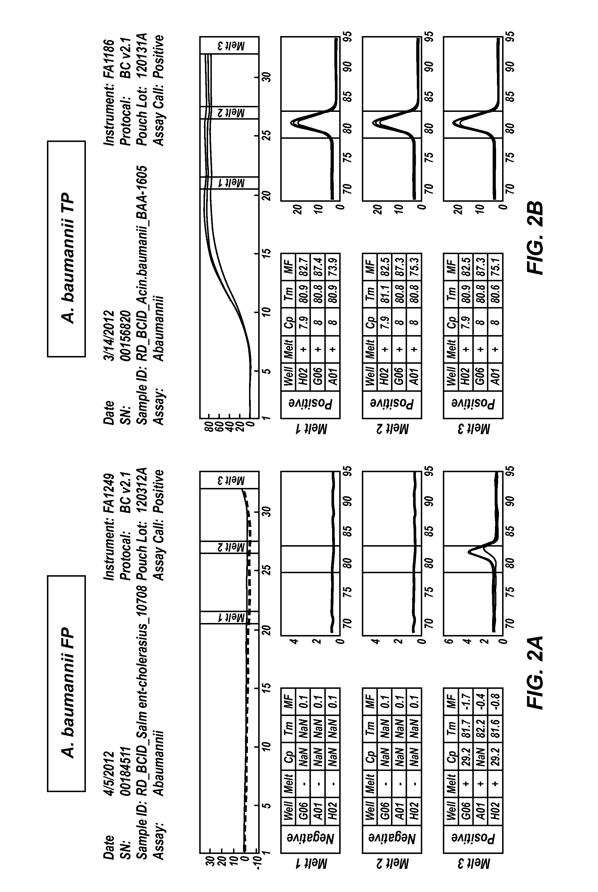 Multiple amplification cycle detection