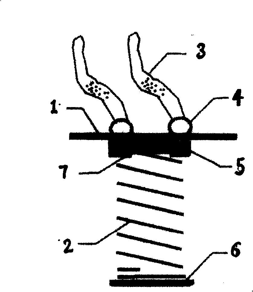 Jumping body building apparatus