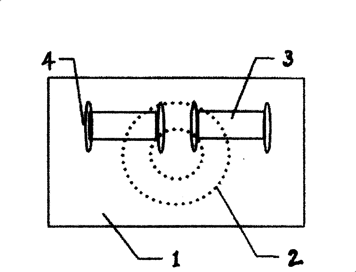 Jumping body building apparatus