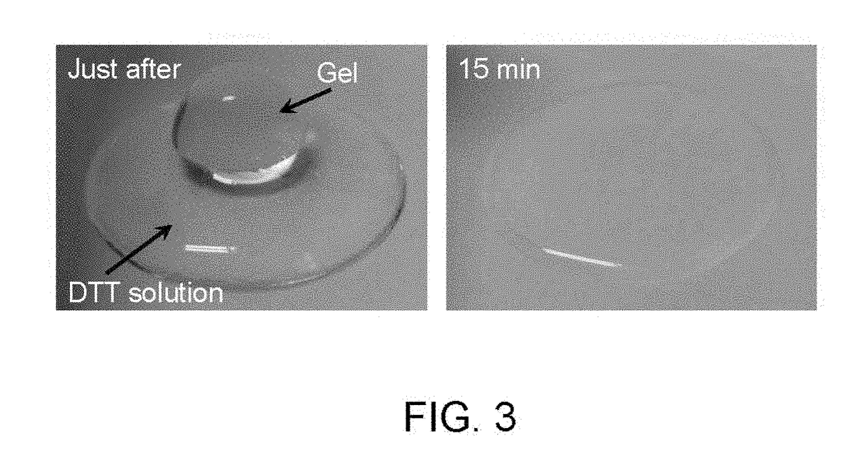 Method for producing hydrogel, method for enveloping envelopment target, and method for releasing envelopment target