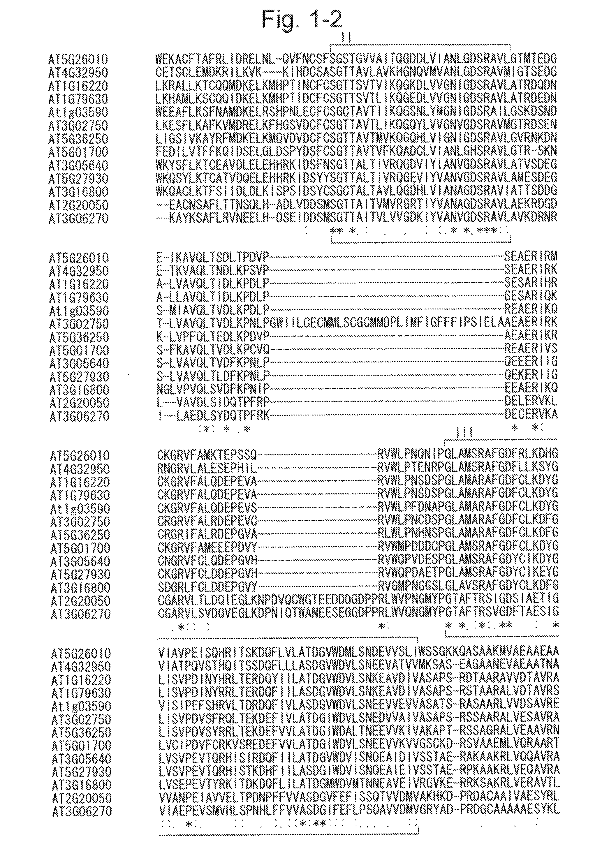 Method for increasing the production of plant biomass and/or seeds and method for producing plant capable of producing increased amount of biomass and/or seeds