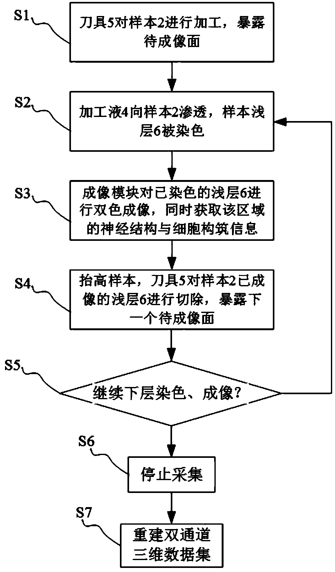 Simultaneous acquisition of whole-brain neural information and method of colocalization cell construction