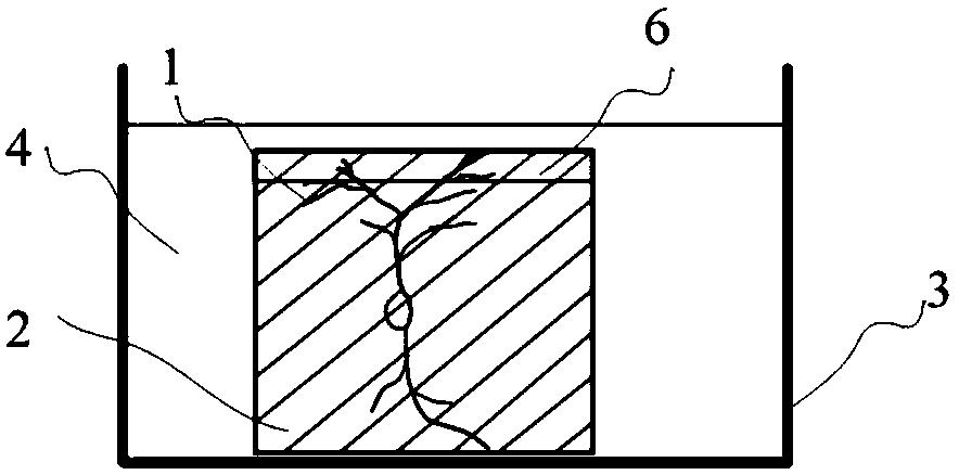 Simultaneous acquisition of whole-brain neural information and method of colocalization cell construction