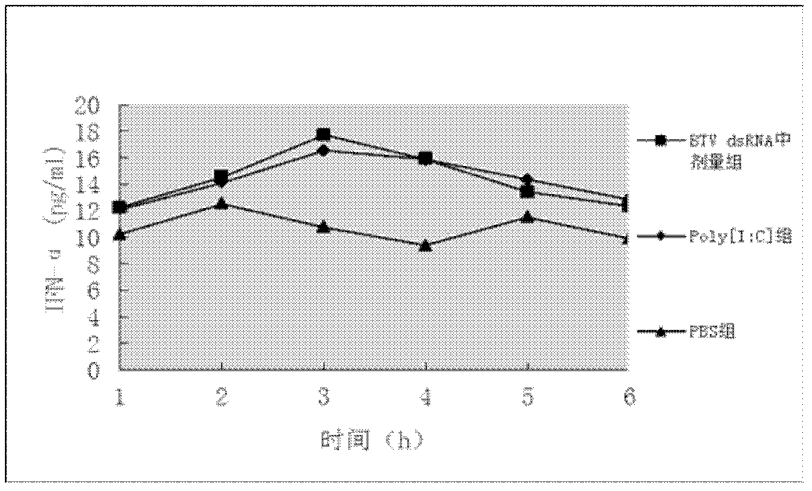 Preparation method of heterologous bluetongue virus double-strand RNA (ribonucleic acid) endogenous interferon inducer