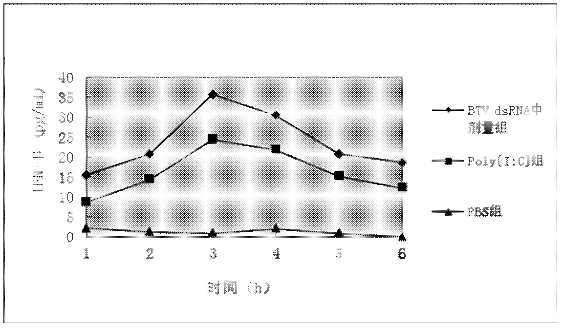 Preparation method of heterologous bluetongue virus double-strand RNA (ribonucleic acid) endogenous interferon inducer