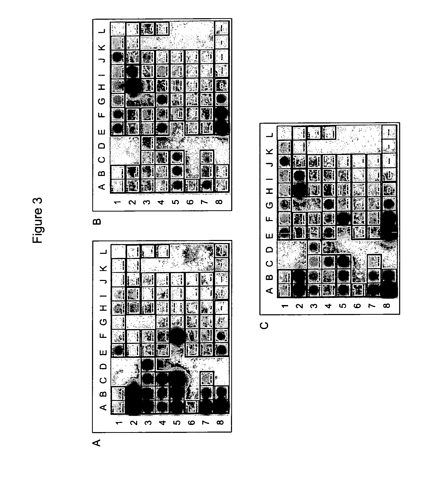 Method for the specific detection and identification of retroviral nucleic acids/retroviruses in a specimen