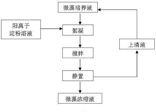 Environment-friendly microalgae collecting method