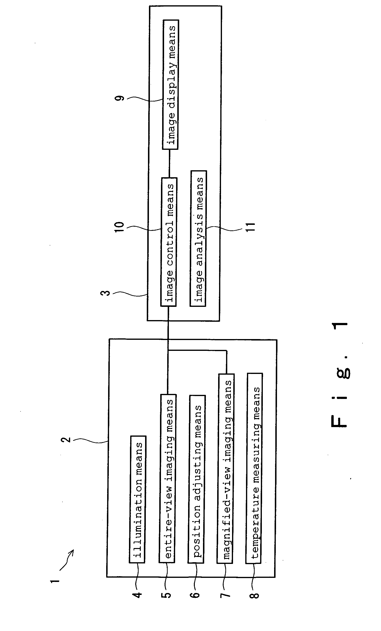 System for observing cornea for transplantation