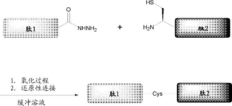 Protein preparation method