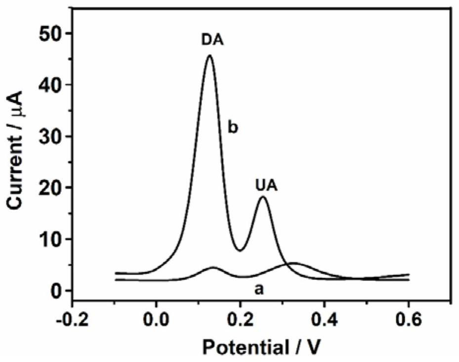 Simultaneous detection of dopamine and uric acid based on poly-l-glutathione modified glassy carbon electrode