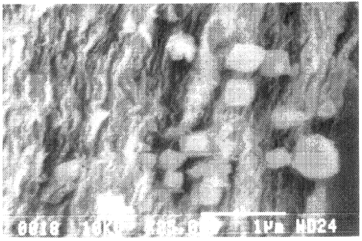 High-proton-conductive antimonic acid film