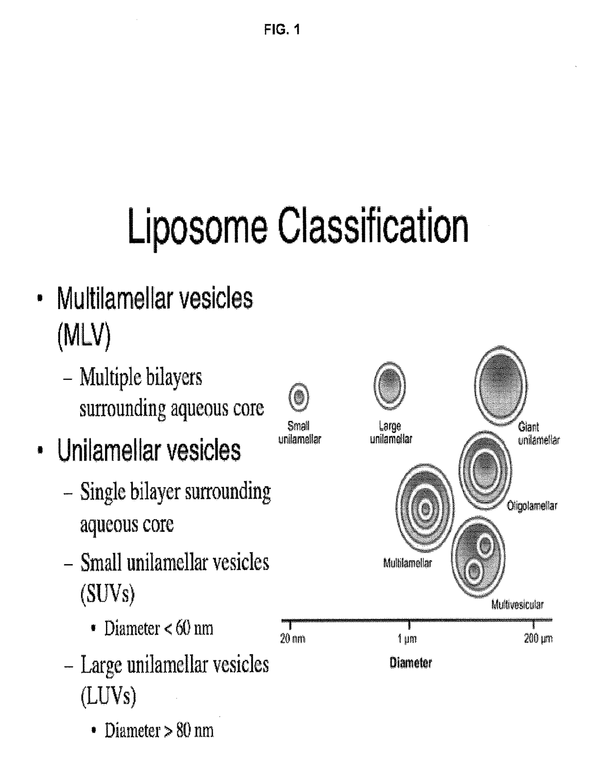 Remote loading of sparingly water-soluble drugs into lipid vesicles